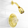 Delta Classic Shower Faucet Polished Brass finish