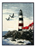 Decora Lighthouse 60 Inch X 80 Inch Throw Blanket