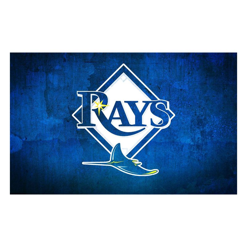 Tampa Bay Devil Rays Liquid Paper Weight